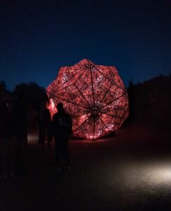 DBGLightBloomNov24-61 image from Lightbloom exhibit at DBG winter 2024