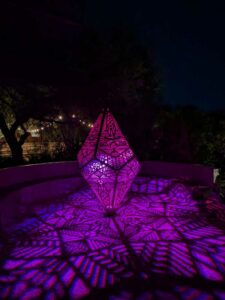 DBGLightBloomNov24-62 image from Lightbloom exhibit at DBG winter 2024