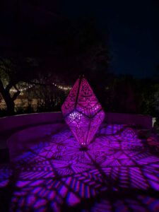 DBGLightBloomNov24-63 image from Lightbloom exhibit at DBG winter 2024