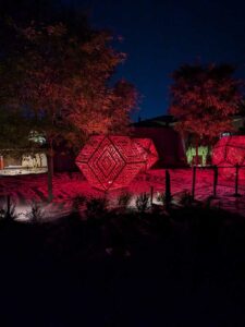 DBGLightBloomNov24-64 image from Lightbloom exhibit at DBG winter 2024