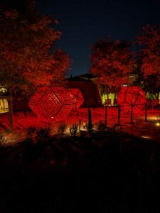 DBGLightBloomNov24-65 image from Lightbloom exhibit at DBG winter 2024