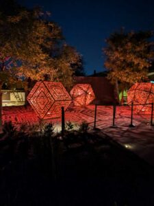 DBGLightBloomNov24-66 image from Lightbloom exhibit at DBG winter 2024