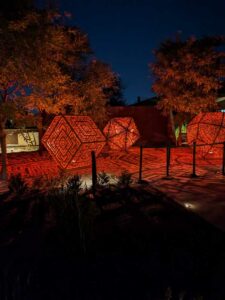 DBGLightBloomNov24-67 image from Lightbloom exhibit at DBG winter 2024