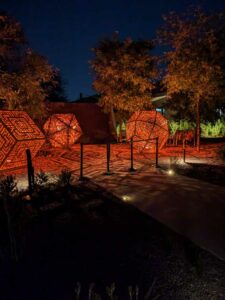 DBGLightBloomNov24-68 image from Lightbloom exhibit at DBG winter 2024