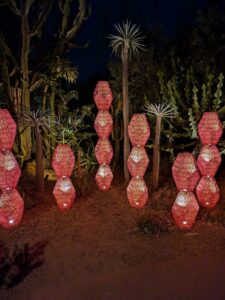 DBGLightBloomNov24-69 image from Lightbloom exhibit at DBG winter 2024