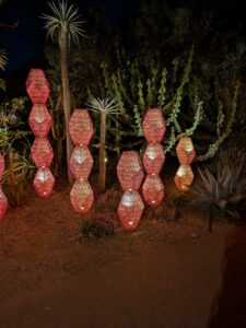 DBGLightBloomNov24-70 image from Lightbloom exhibit at DBG winter 2024