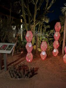 DBGLightBloomNov24-71 image from Lightbloom exhibit at DBG winter 2024