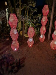 DBGLightBloomNov24-72 image from Lightbloom exhibit at DBG winter 2024