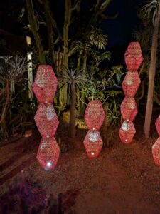 DBGLightBloomNov24-73 image from Lightbloom exhibit at DBG winter 2024