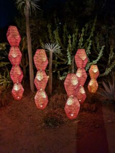 DBGLightBloomNov24-74 image from Lightbloom exhibit at DBG winter 2024