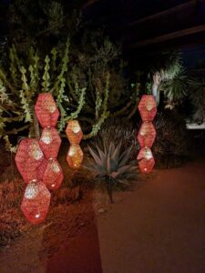 DBGLightBloomNov24-75 image from Lightbloom exhibit at DBG winter 2024