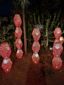 DBGLightBloomNov24-76 image from Lightbloom exhibit at DBG winter 2024