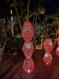 DBGLightBloomNov24-77 image from Lightbloom exhibit at DBG winter 2024