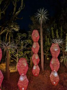 DBGLightBloomNov24-78 image from Lightbloom exhibit at DBG winter 2024