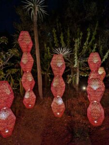 DBGLightBloomNov24-79 image from Lightbloom exhibit at DBG winter 2024