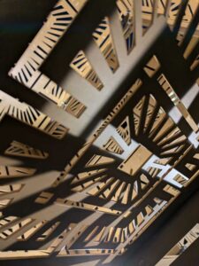 DBGLightBloomNov24-8 image from Lightbloom exhibit at DBG winter 2024