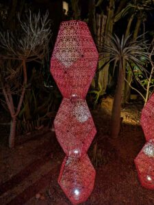 DBGLightBloomNov24-80 image from Lightbloom exhibit at DBG winter 2024