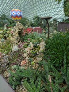 GardensByTheBay2025-101 image from Singapore's Gardens by the Bay - spring 2025