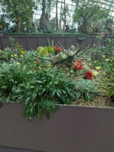 GardensByTheBay2025-107 image from Singapore's Gardens by the Bay - spring 2025