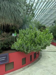 GardensByTheBay2025-108 image from Singapore's Gardens by the Bay - spring 2025