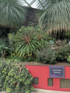 GardensByTheBay2025-109 image from Singapore's Gardens by the Bay - spring 2025