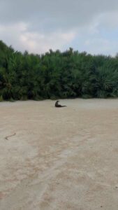 GardensByTheBay2025-11.TS image from Singapore's Gardens by the Bay - spring 2025