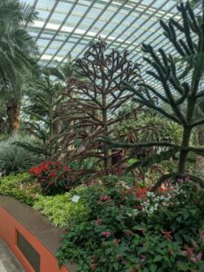 GardensByTheBay2025-113 image from Singapore's Gardens by the Bay - spring 2025