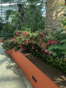 GardensByTheBay2025-114 image from Singapore's Gardens by the Bay - spring 2025