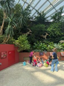 GardensByTheBay2025-115 image from Singapore's Gardens by the Bay - spring 2025