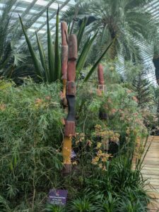 GardensByTheBay2025-116 image from Singapore's Gardens by the Bay - spring 2025