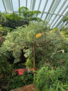 GardensByTheBay2025-118 image from Singapore's Gardens by the Bay - spring 2025