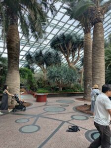 GardensByTheBay2025-125 image from Singapore's Gardens by the Bay - spring 2025