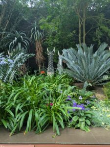 GardensByTheBay2025-129 image from Singapore's Gardens by the Bay - spring 2025