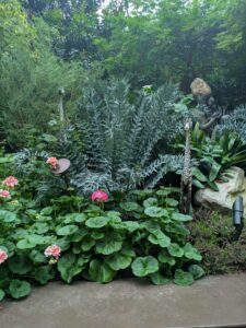 GardensByTheBay2025-133 image from Singapore's Gardens by the Bay - spring 2025