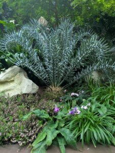 GardensByTheBay2025-134 image from Singapore's Gardens by the Bay - spring 2025