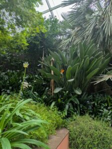 GardensByTheBay2025-135 image from Singapore's Gardens by the Bay - spring 2025