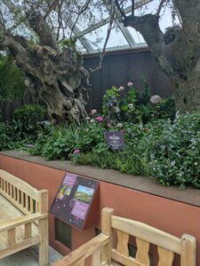 GardensByTheBay2025-138 image from Singapore's Gardens by the Bay - spring 2025