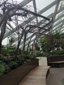 GardensByTheBay2025-139 image from Singapore's Gardens by the Bay - spring 2025