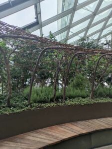 GardensByTheBay2025-140 image from Singapore's Gardens by the Bay - spring 2025