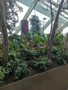 GardensByTheBay2025-141 image from Singapore's Gardens by the Bay - spring 2025