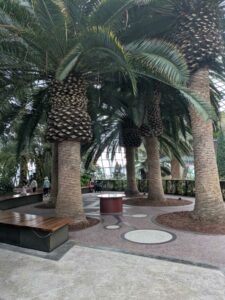 GardensByTheBay2025-144 image from Singapore's Gardens by the Bay - spring 2025