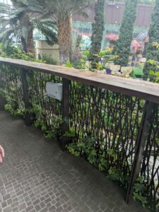 GardensByTheBay2025-146 image from Singapore's Gardens by the Bay - spring 2025