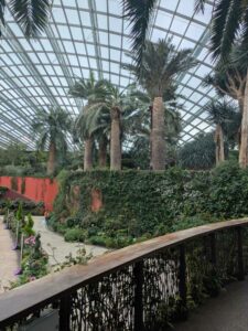 GardensByTheBay2025-147 image from Singapore's Gardens by the Bay - spring 2025