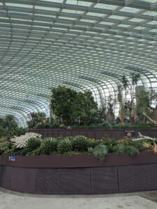 GardensByTheBay2025-15 image from Singapore's Gardens by the Bay - spring 2025