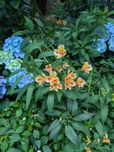 GardensByTheBay2025-150 image from Singapore's Gardens by the Bay - spring 2025