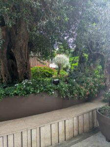 GardensByTheBay2025-154 image from Singapore's Gardens by the Bay - spring 2025