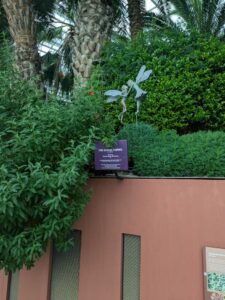 GardensByTheBay2025-155 image from Singapore's Gardens by the Bay - spring 2025