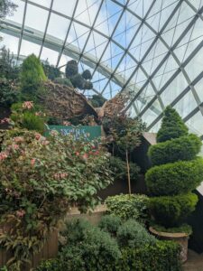 GardensByTheBay2025-156 image from Singapore's Gardens by the Bay - spring 2025