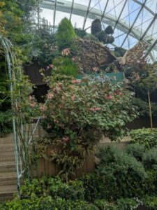 GardensByTheBay2025-157 image from Singapore's Gardens by the Bay - spring 2025