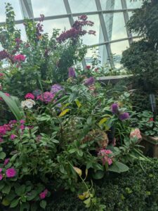 GardensByTheBay2025-158 image from Singapore's Gardens by the Bay - spring 2025